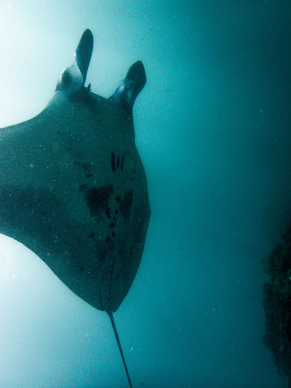 5f109472-67e7-411e-95e3-78b2ac58fc5b