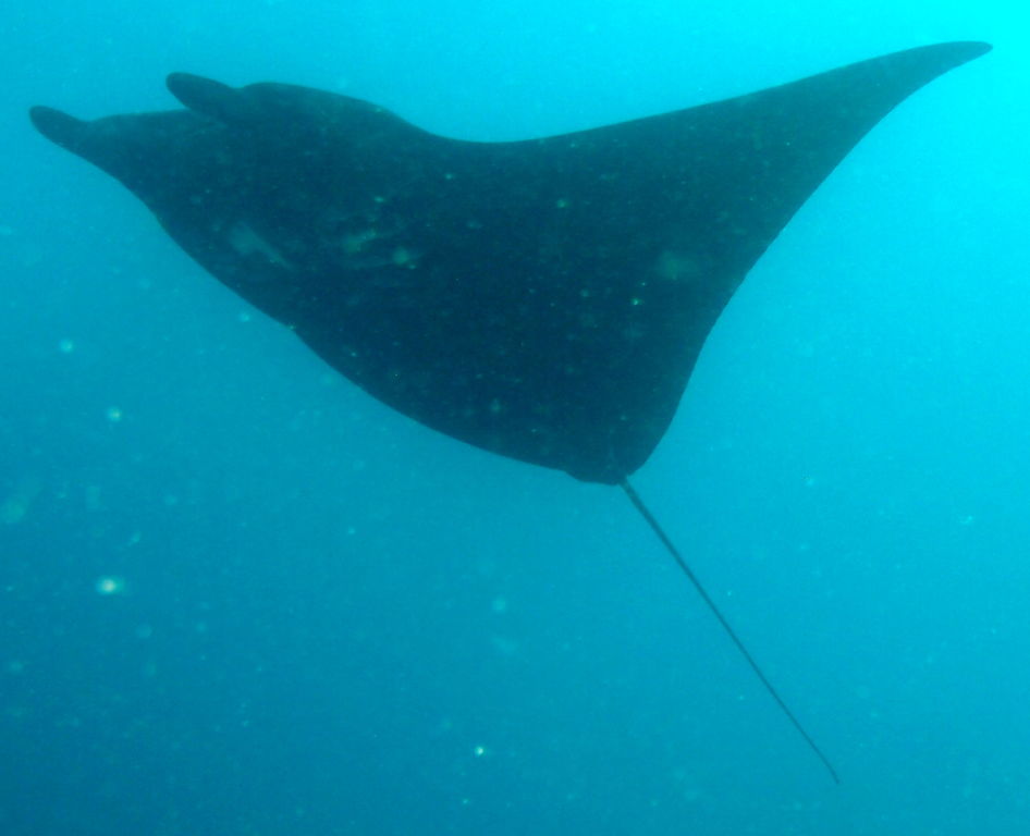 8fbd3a70-1458-450c-8ac5-891a2709ede3