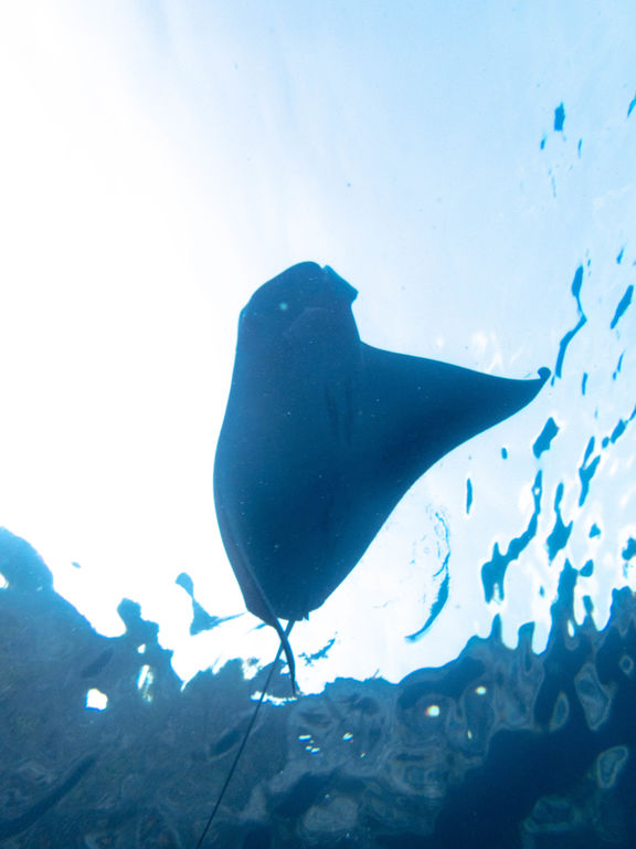 398f2e64-4be5-4152-b3db-174e2be3912a