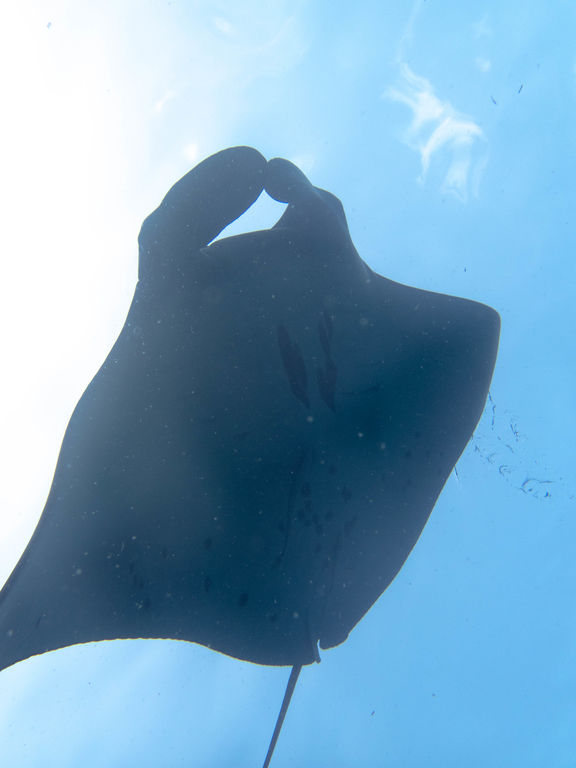 398f2e64-4be5-4152-b3db-174e2be3912a