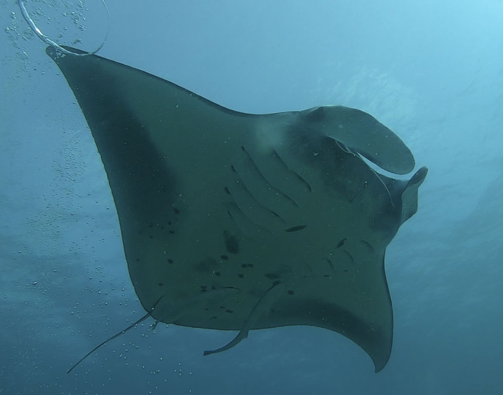 febe3c27-bc5b-430f-8e0b-c297f30b22a9