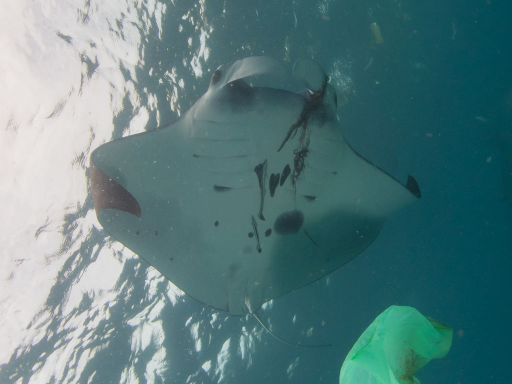 9336c470-b0f1-46a6-a9c8-08397892b925