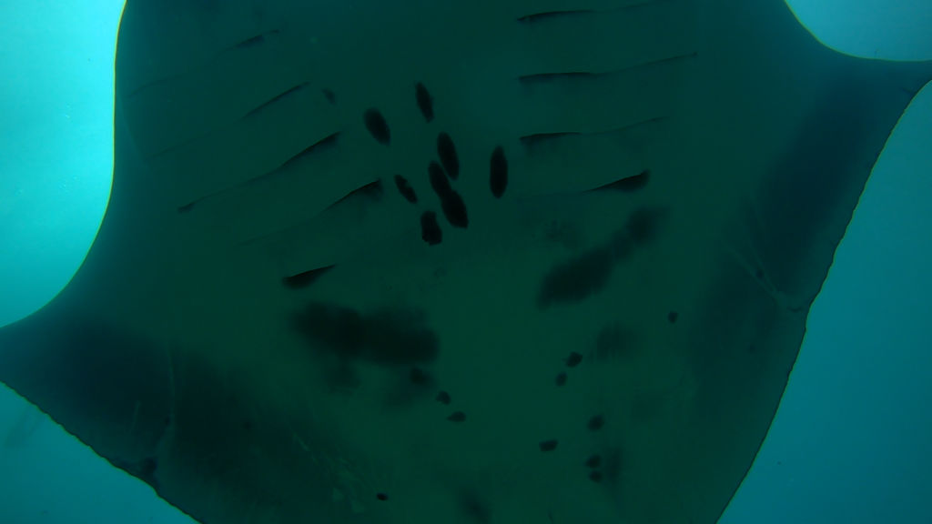 6d3a3e20-e26b-4d6f-a464-753588c3d729