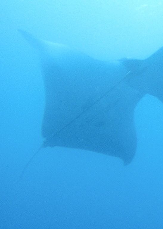 e1f562bc-0ed3-475d-ac78-4209268745dc