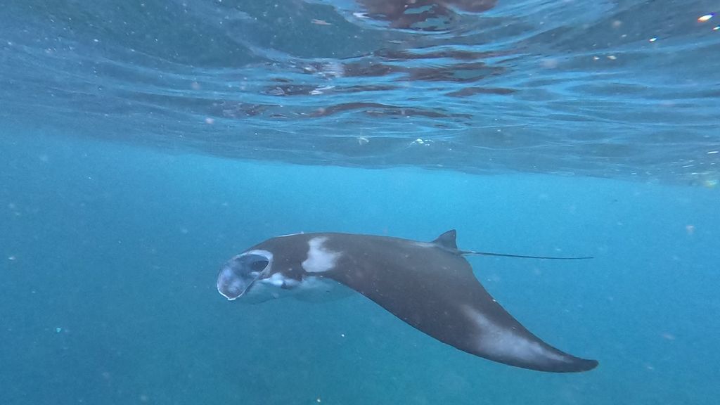 ad1778ff-c266-40e3-a4b6-d743421bcd5d