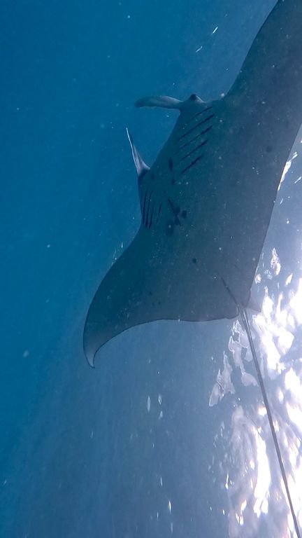 ad1778ff-c266-40e3-a4b6-d743421bcd5d