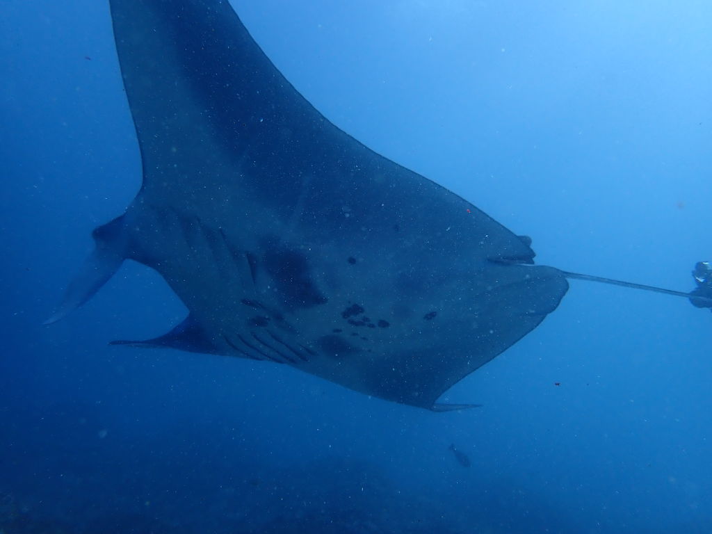 0afa99bc-1420-49dd-aa2e-4cc0417251db