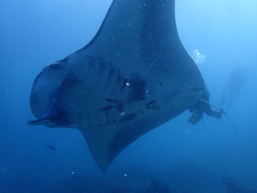 0afa99bc-1420-49dd-aa2e-4cc0417251db