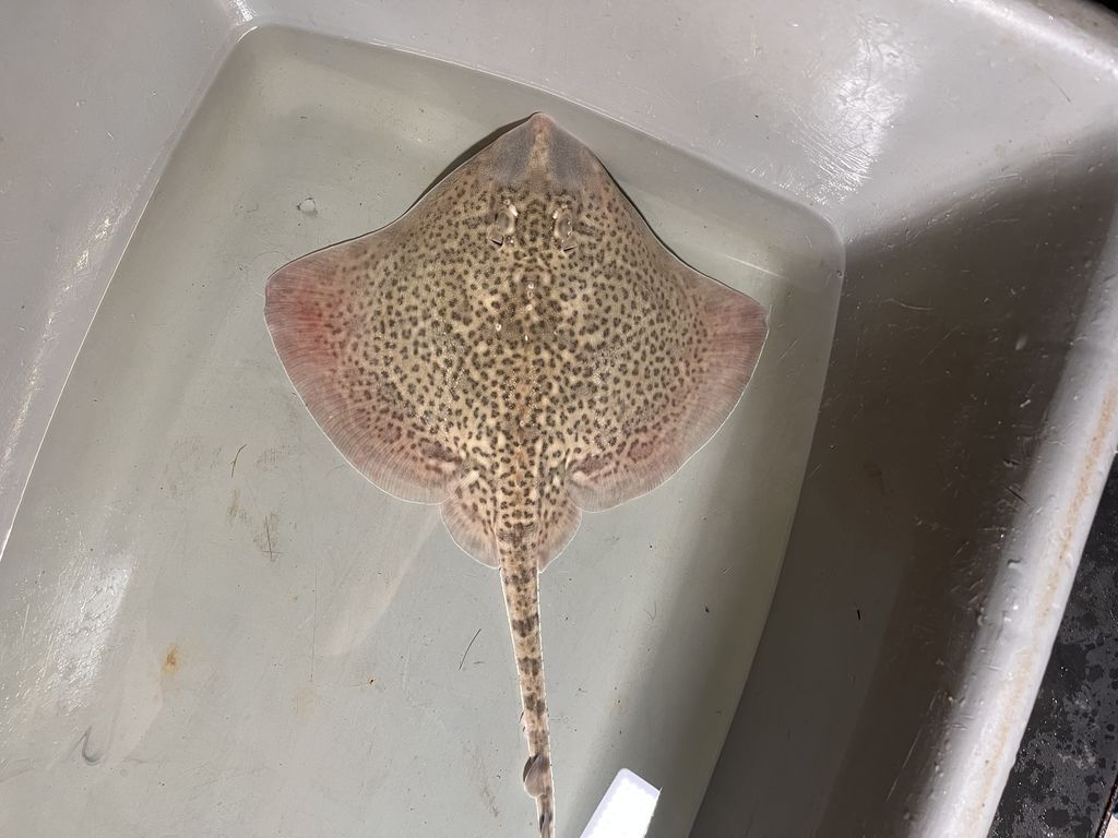 6a4f8140-a56a-40ca-96b9-596ffc34399e