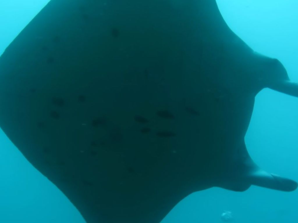 a39402c1-22e6-4ec2-8976-3995848e5439