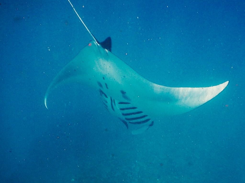 e1f562bc-0ed3-475d-ac78-4209268745dc