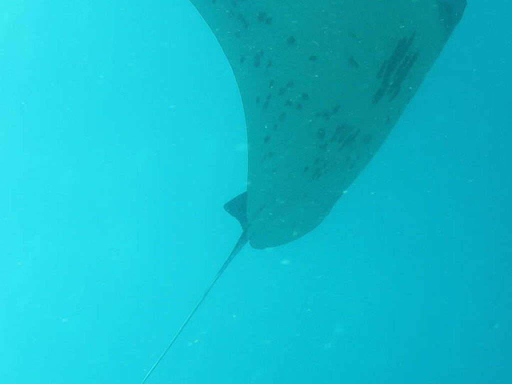 987c567f-94b7-48f8-b08c-71580daacc62