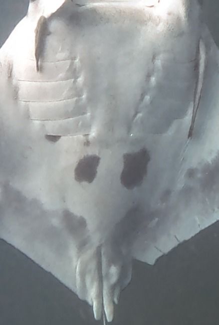 b9079181-8cef-409f-9d3d-f1d3ad1c1da3