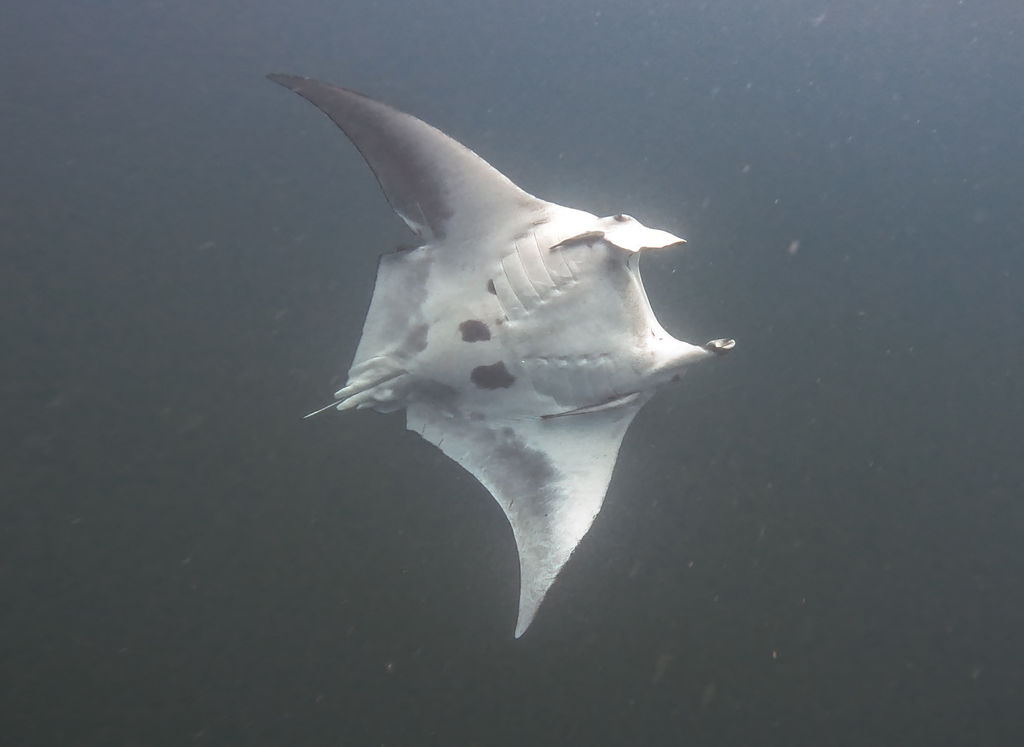 b9079181-8cef-409f-9d3d-f1d3ad1c1da3