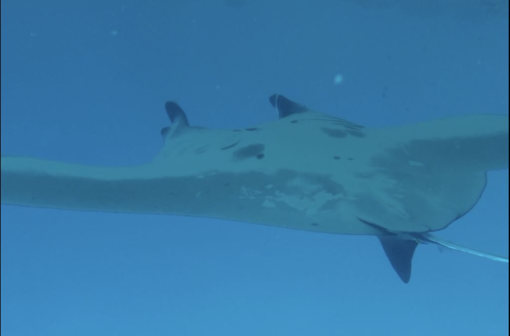 003b54ef-e7e9-4955-a666-e8eab0361416