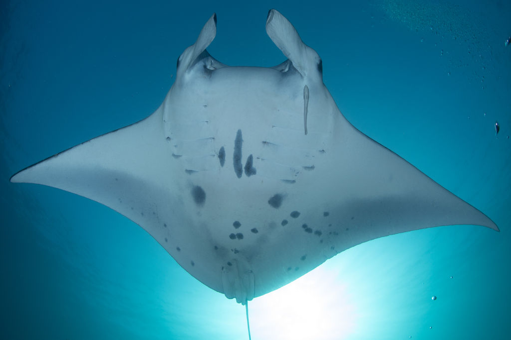 f2fe8946-e9e0-47d4-a203-fc455326ffcc