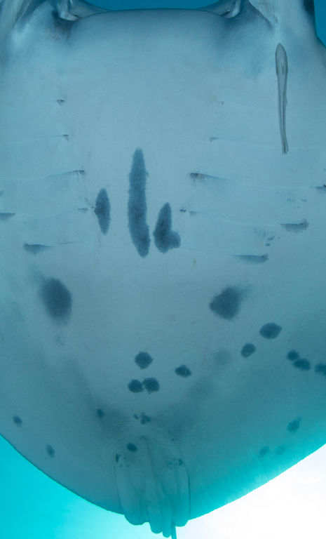 f2fe8946-e9e0-47d4-a203-fc455326ffcc