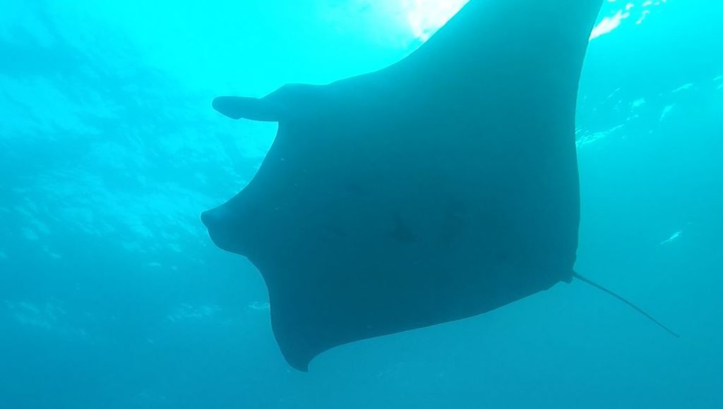 4b456611-3e03-46d5-95d5-271d7c497447