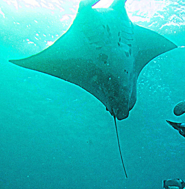 003b54ef-e7e9-4955-a666-e8eab0361416