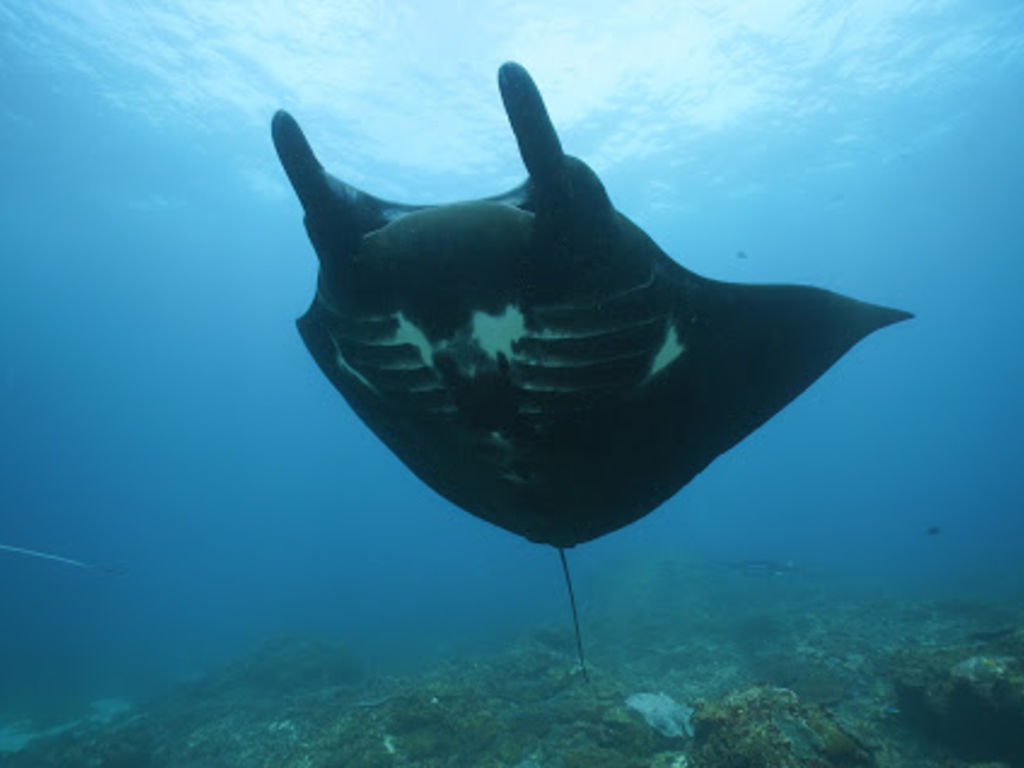 89689e31-0fa4-47d2-884c-164808d236c0