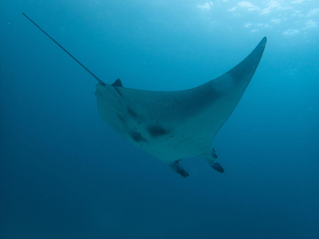 184aa254-3dbd-472b-80f1-ec644ec436fa