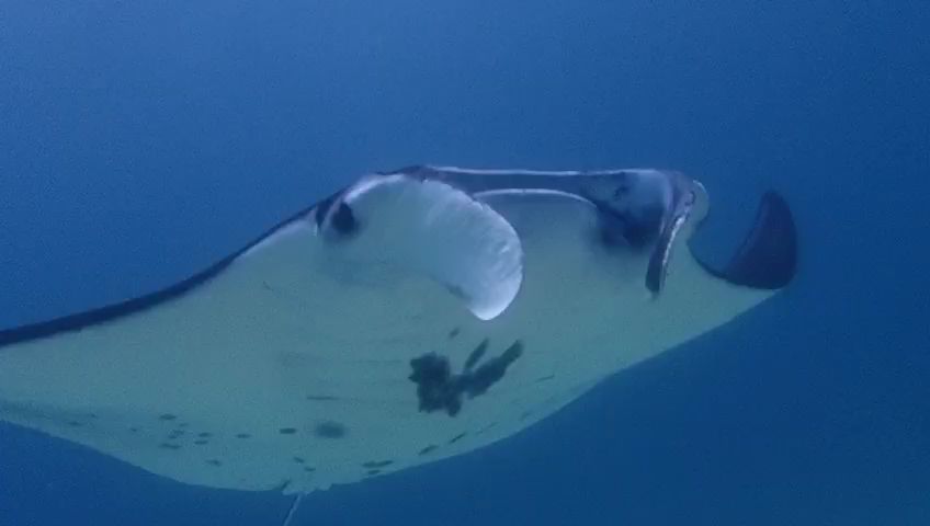 71810435-45ba-48de-8b55-abc097d317d0