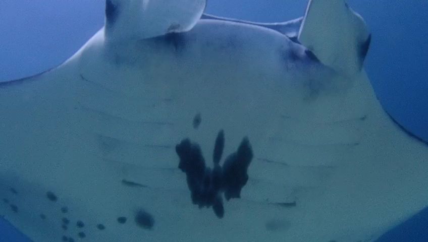 71810435-45ba-48de-8b55-abc097d317d0