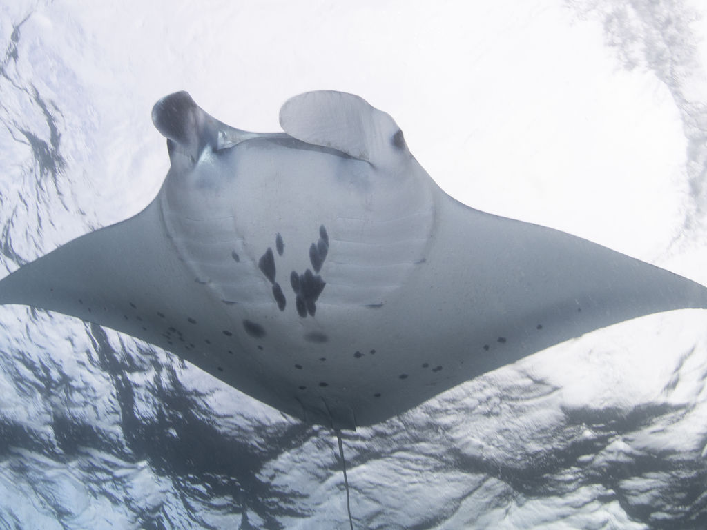 c8273165-67db-4613-a9da-4c72076559ad