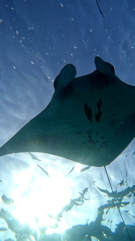 398f2e64-4be5-4152-b3db-174e2be3912a