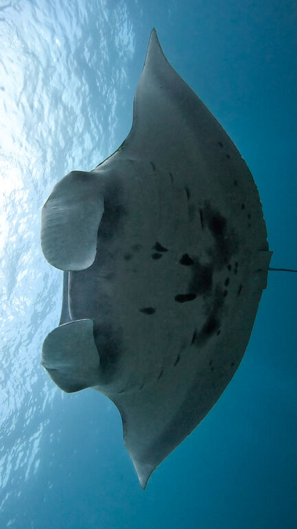 4f2618f2-3db5-4a9c-85b9-2a6c8d05467b