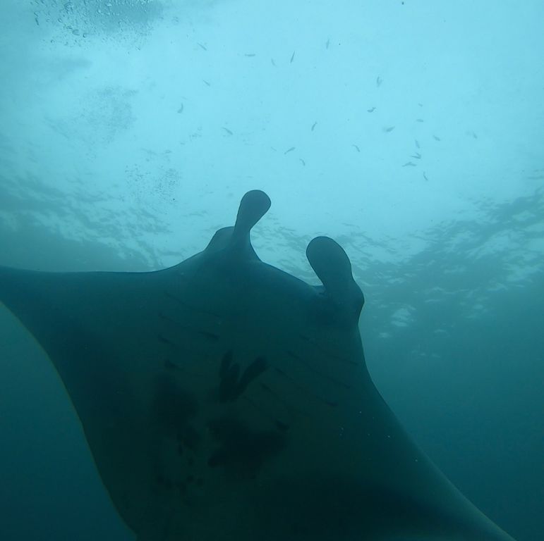 6f06bafb-2960-45e0-8243-d17902ae978c