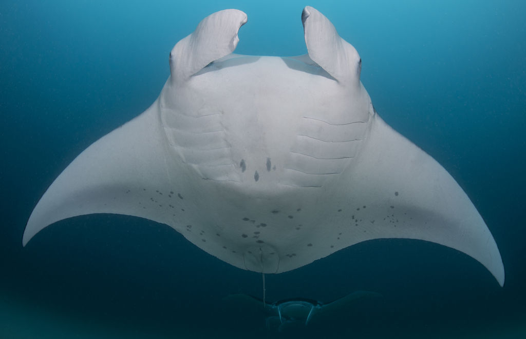 0030c6c7-b68f-4e5c-8e91-68fb8fa0e83c