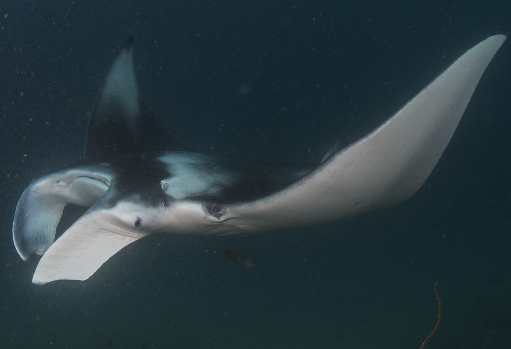 0030c6c7-b68f-4e5c-8e91-68fb8fa0e83c