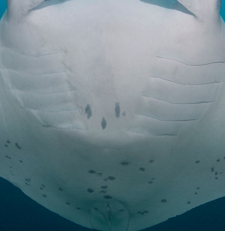 0030c6c7-b68f-4e5c-8e91-68fb8fa0e83c