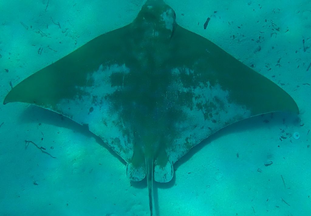 0000e9d7-6e66-47aa-9cbb-92a44f45b854