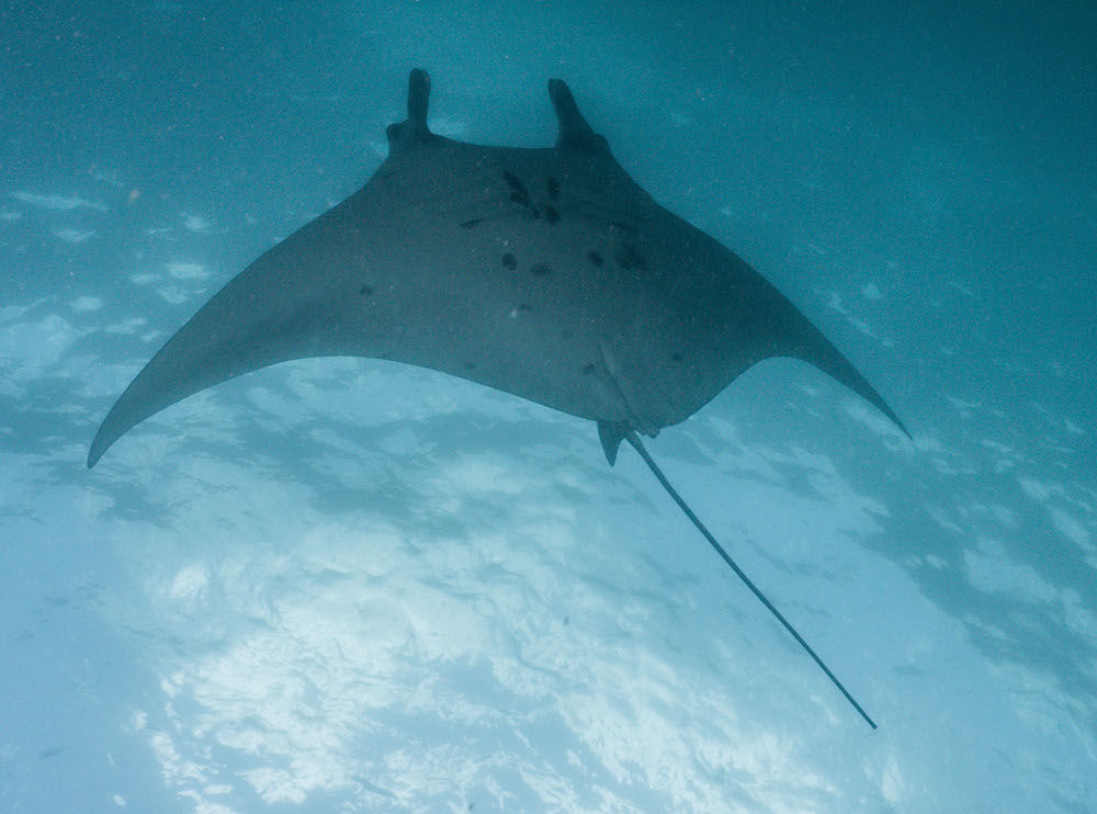 5adbf9cb-0b52-4905-83a6-1c2e6fcad525