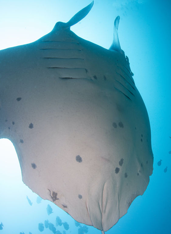 c9c24277-2f06-42b6-b5d3-f76c097c7df8