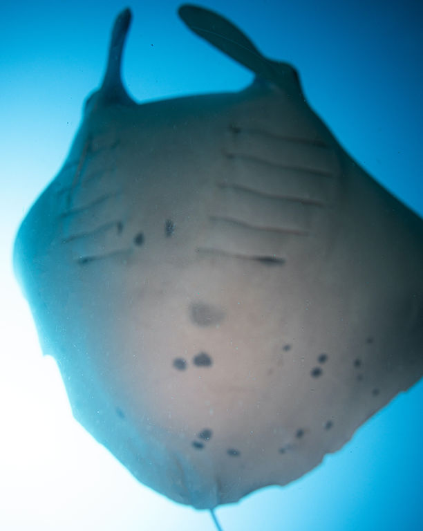 c9c24277-2f06-42b6-b5d3-f76c097c7df8