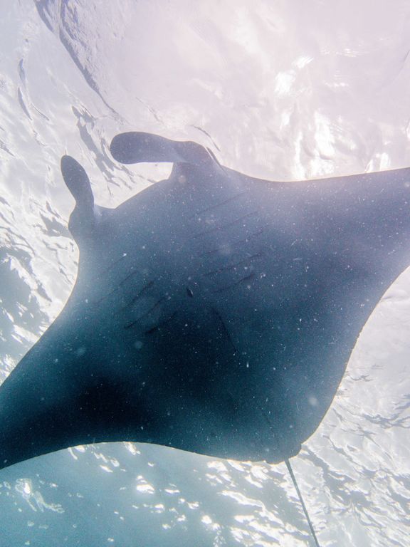 b778e213-6903-4614-8b20-b2f898d13a2e