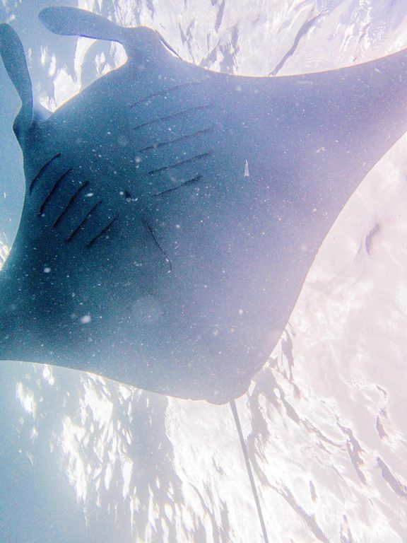 b778e213-6903-4614-8b20-b2f898d13a2e