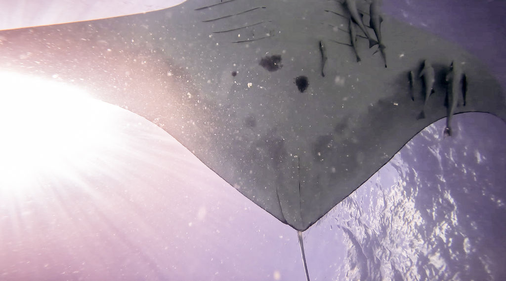 f891324a-0733-435f-9a51-2ad6e552a1fd