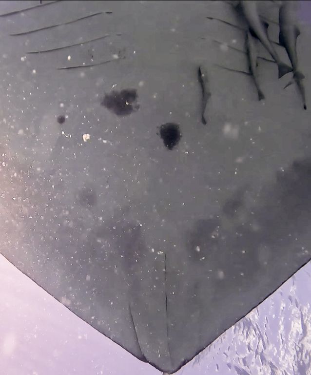 f891324a-0733-435f-9a51-2ad6e552a1fd