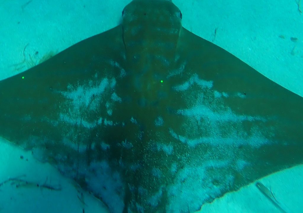 980e8fb7-71ce-456e-b5a3-12520ba1ece2