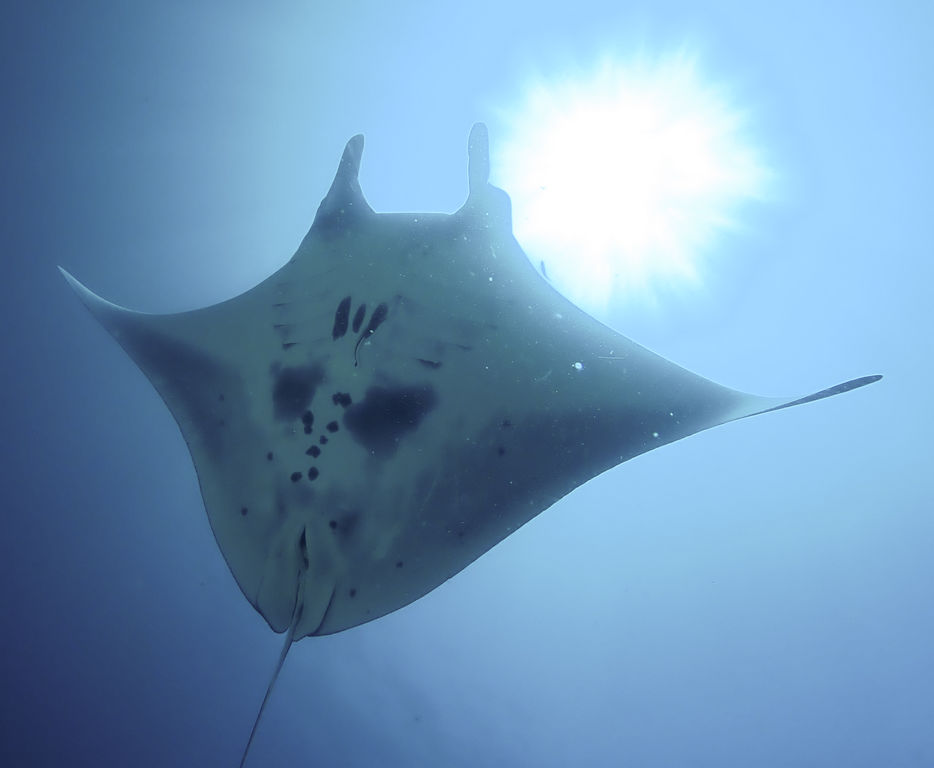 5f109472-67e7-411e-95e3-78b2ac58fc5b