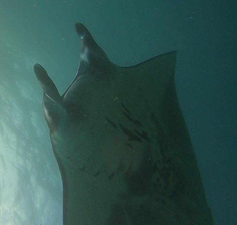 2609c98a-5fcb-405b-9f2a-2da9faafffa3