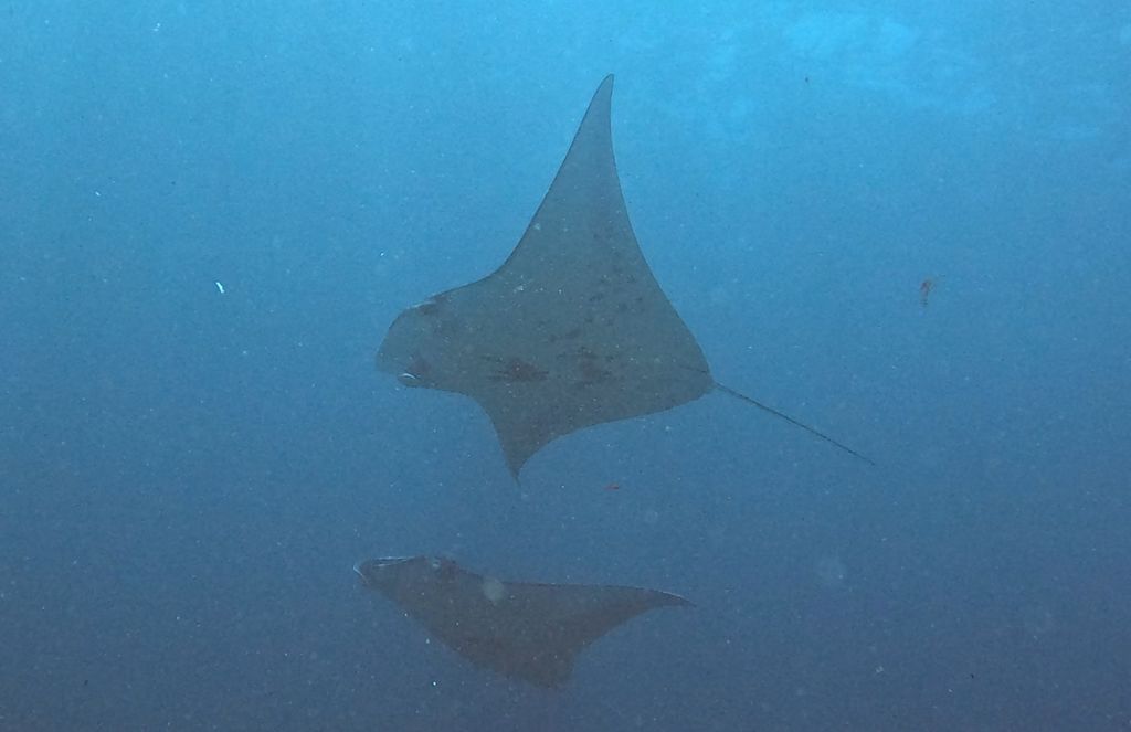 b8d909b5-0d94-48fc-b035-bd667bb92653