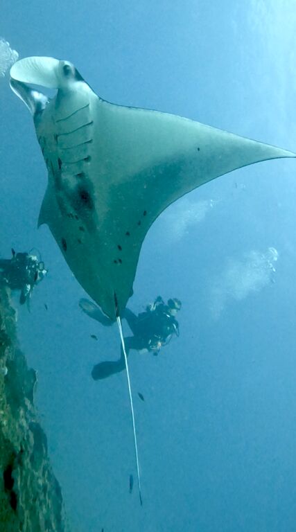 4f2618f2-3db5-4a9c-85b9-2a6c8d05467b