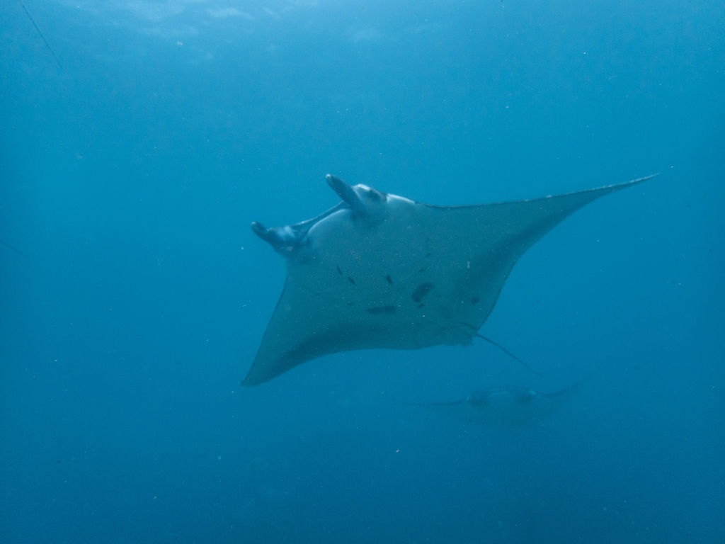 a8952e1c-36e2-41dd-a8ed-1b20825eaa07