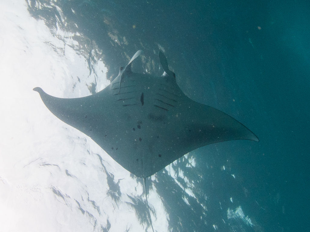 3e6c8c7b-8963-4c1a-a382-2714e68047f2