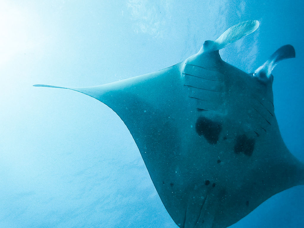 92a1070d-5337-4606-a961-bcca4d623c5b